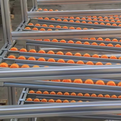 Metal Carton Flow Rack Gravity Flow Shelf Warehouse Equipment Within Pallet Racking